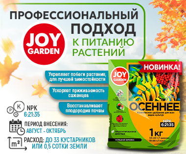 Осеннее JOY GARDEN